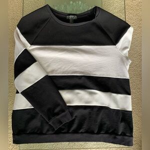 💜 Forever 21 Plus Sweatshirt